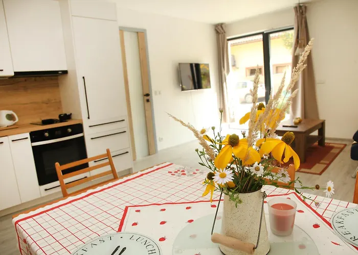 Ve Mlyne Apartament Trebotov