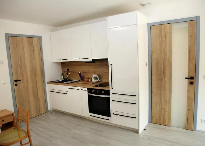 Ve Mlyne Apartament